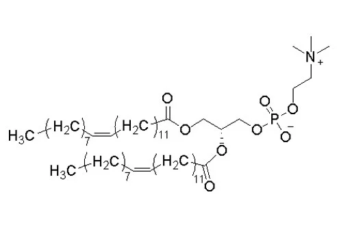 12 dierucoyl sn glycero 3 phosphocholine for injectiondepc