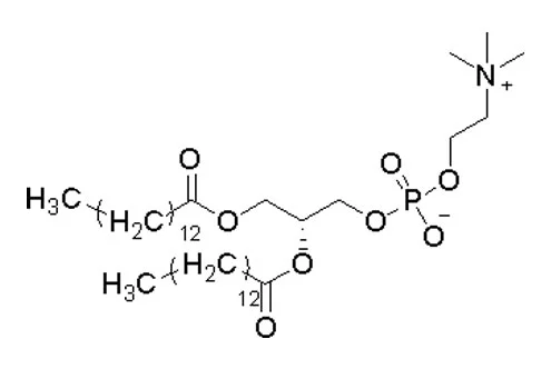 12 dimyristoyl sn glycero 3 phosphocholinefor injection dmpc