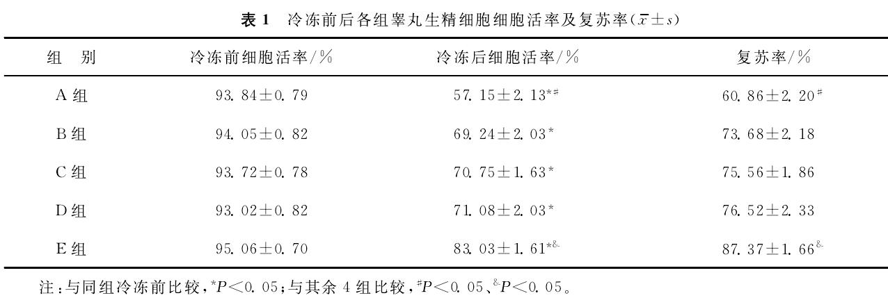 avt-pharma-20230529-17.jpg