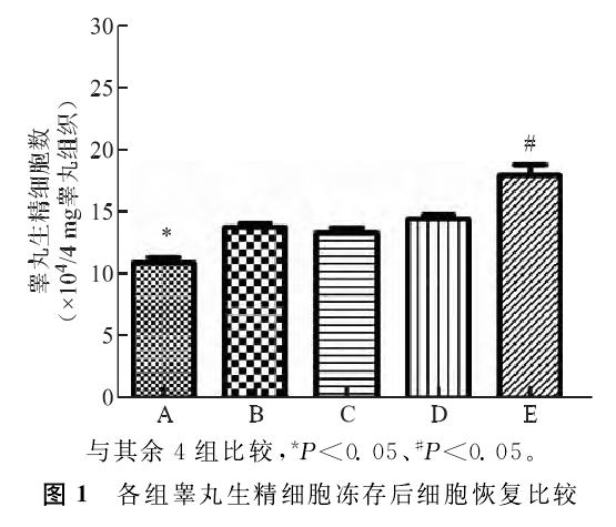 avt-pharma-20230529-18.jpg