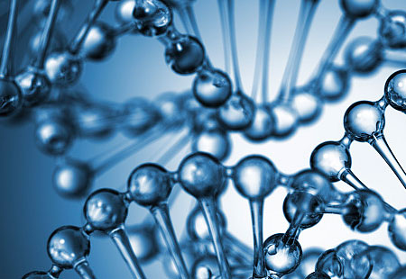 Understanding the Structure and Function of Trehalose Dihydrate Excipient