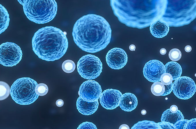 How Are Cholesterol and Phospholipids Similar and Different from Each Other?